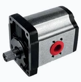 1PN 119 CB11 Dişli Pompa